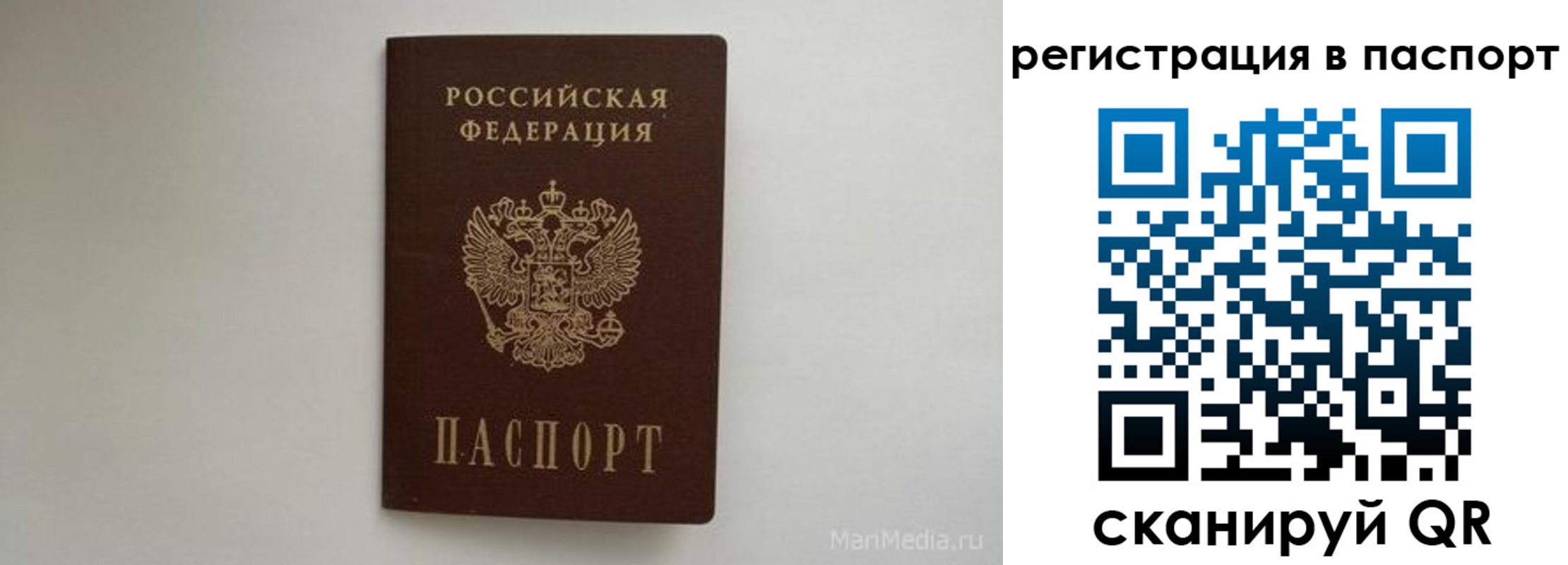 прописка в Боготоле